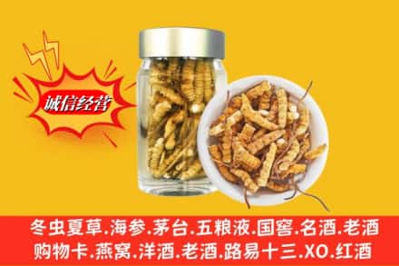 杭州江干区回收散虫草