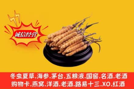 杭州江干区求购回收虫草多少钱每克